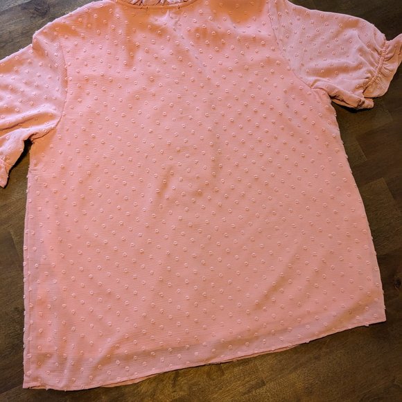 NWT Gibsonlook Short Sleeve Swiss Dot Full Placket Blouse, Mauve, Large - Picture 12 of 12